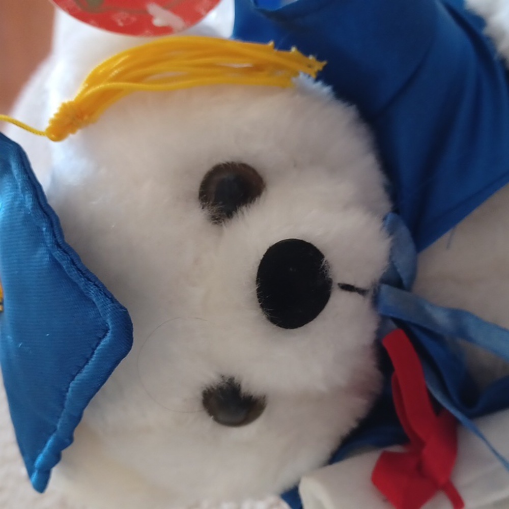 Graduation bear plush white - Picture 2 of 12